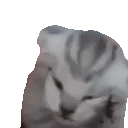 :miraithevoices: