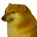:miraicheems: