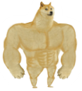 :miraistrongdoge: