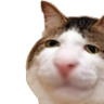 :miraikiisusniff: