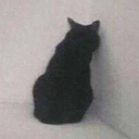 :memesulking: