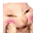 :spacemisccattomg: :spacemisccattomg: